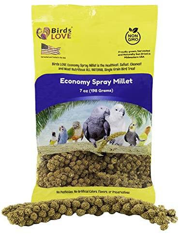 Birds LOVE Economy Special Spray Millet GMO-Free (No Stems Only Edible Tops) for Birds Cockatiel Lovebird Parakeet Finch Canary All Parrots Healthy Treat - 7oz