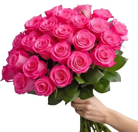 Ramo de Rosas Rosa Oscuro DECOALIVE Bouquet de 25 Flores Rosa Oscuro Frescas y Naturales