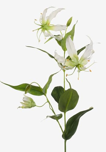 artplants.de Kunstblume Ruhmeskrone, Creme - grün, 80cm - Künstliche Gloriosa - Deko Blumen