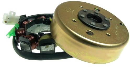 2EXTREME Lichtmaschine GY6 4T kompatibel mit BAOTIAN BT49QT-21, BT49QT-22 | Komplette Lichtmaschine aus Polrad und Stator, 50 ccm GY6 China 4T; kompatibel mit BAOTIAN BT49QT-2, BT49QT-3, BT49QT-10