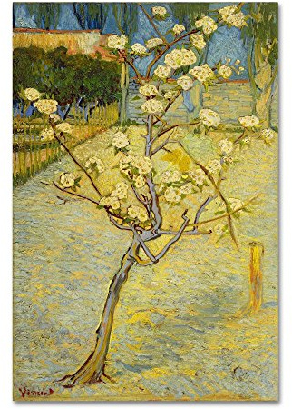 Canvas Wall Art - Van Gogh 'Small Pear Tree In Blossom' Wall Art for Living Room, Bedroom, or Office Décor by Trademark Fine Art
