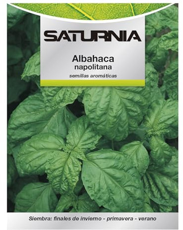 SATURNIA Semillas Aromáticas Albahaca Gigante (5 gramos) Horticultura, Horticola, Semillas Huerto.