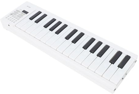 Eujgoov 61 Key Portable Keyboard Piano Foldbar Electric Piano för Nybörjare för Lärande och övning