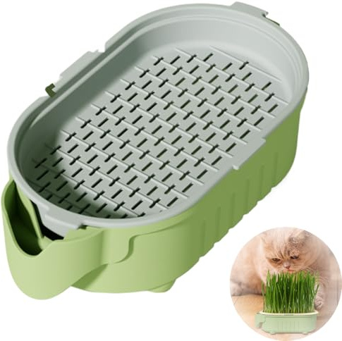 Catnip Cat Grass Box| Cat Grass Hydroponic Planting Tray| Beginner-Friendly Hollow out Soil-Less Watering Container for Window Sill, Garden, Courtyard