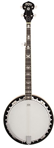 Washburn B10 5-String Banjo, Sunburst Gloss Finish