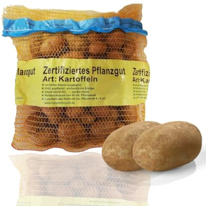 Pflanzkartoffeln Laura, 2,5 kg (ca. 35 Stück) vorwiegend festkochend, Premium Saatkartoffeln, mittelfrüh reifend, gelbfleischig, lange lagerfähig