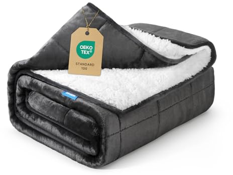 Weighted Blanket 15 lbs 60x80 inches, Sherpa Fleece Throw Blanket for Adult, Fuzzy Fluffy Soft Cozy Heavy Blanket for Couch Sofa, Plush Thick and Warm Winter Blanket Queen Size Bed