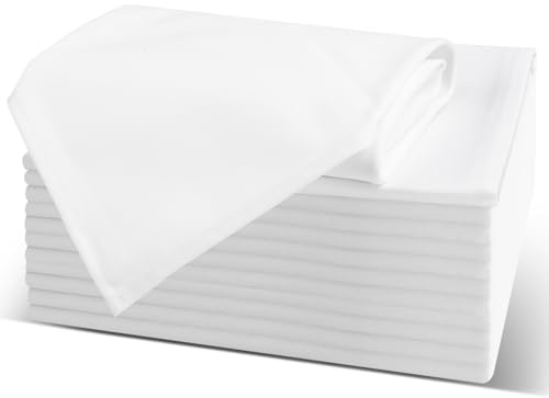 AiQInu Stoffservietten Weiß Baumwolle in 40x40 cm,12er-Set,mit Umlaufendem Rand，Waschbare Tischservietten für Hotel, Mittagessen, Restaurant, Hochzeiten, Veranstaltungen und Partys