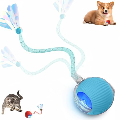 Supore Interaktives Katzenspielzeug Ball, Elektrisch Intelligentes Katzenspielzeug Selbstbeschäftigung Katzenball, Automatisches Rollender Spielball für Katzen und Hunde mit Libellenschwanz (Blau)