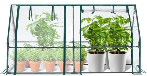 Kleines Gewächshaus, Mini-Gewächshaus, Gartengewächshaus, wasserdicht, mit Tür mit Reißverschluss, UV-Schutz, für die im Innenbereich