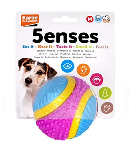 Sharples Five Senses Palla per Cani con aroma di manzo