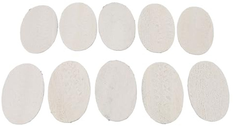 Fyearfly Juego de 10 esponjas de lufa, limpiador ecológico para lavavajillas y ducha, 3.1 x 4.72 pulgadas