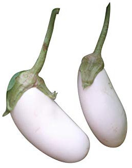 AUBERGINE Weiß 10 Samen (Selten) -Sorte Casper-