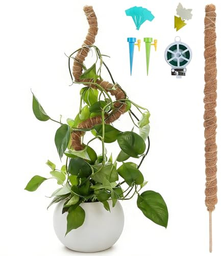 Monstera Bâton de mousse pour Monstera, 160 cm, en fibres de coco naturelles, support pour plantes avec accessoires, tuteur pour plantes d'intérieur, support pour tortues, vignes en bambou