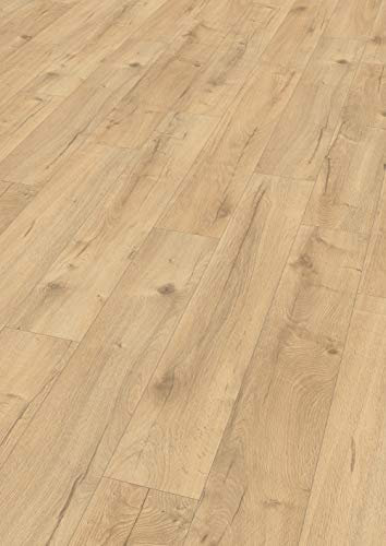 EGGER Loja Eiche Natur Home Laminatboden EHL142 (8mm, 1,995m²) | authentische Holzoptik | | Einfache Verlegung durch CLIC It System | Praktisch & wertbeständig