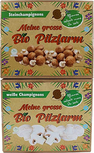 XXL BIO Champignon Komplettset 1x Steinchampignon + 1x Champignon - Pilze selber züchten