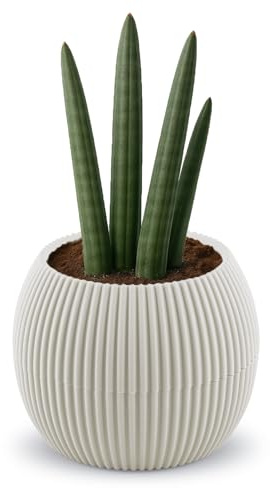 alqua 17CM Self Watering Plant Pots – Beige Plastic Flower Pots with Drainage – Modern Matte Planters for Indoor & Outdoor Plants – Stylish Garden Pots – Decorative Plant Containers