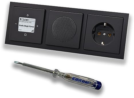 Busch Jäger iNet Internet Unterputz Radio 8216U Future SCHWARZ MATT, Set mit Lautsprecher, Abdeckungen, Steckdose mit Kinderschutz, Rahmen + EBROM Phasenprüfer zur Montage der Geräte - 8216U