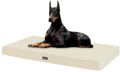 HMTOPE Orthopädisches Hundebett, 10cm Dicke Hundekissen für Grosse Hunde, Abnehmbar und Waschbar Hundematte, rutschfeste Unterseite, Wasserdichtes Innenfutter, 120 cm, Beige