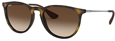 Ray-Ban Erika Havana Gläser Braun Verlauf