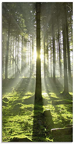 ARTland Wanddeko Glasbilder Wandbild Glas Bild einteilig 30x60 cm Hochformat Natur Wald Landschaft Sonne Bäume Moos Frühling Landhaus T5SV ARTland