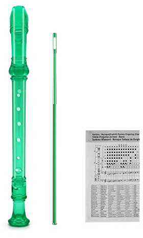 SJOYS 8-Hole Soprano Descant Recorder Kids Music Flute with Cleaning Rod & Case Bag For School Student Home Entertainment Transparent Green