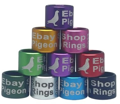 20 PCs Personalized Aluminium Pigeon Rings & Bands, Birds & Parrot Foot Ring, Conure 7mm & 8mm (8.0mm, Black)