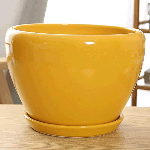 Keramik-Blumentopf „Ice Crack Zisha“ Mit Bambusschalen, Voller Sukkulenten-Blumentopf, Große Kaktus-Blumentöpfe, Mini-Behälter/Pflanzgefäß, Dekoriertes Wohnzimmer/Schlafzimmer, Stil 7, S