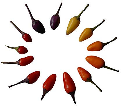 Bolivie Rainbow Chili Lot de 10 graines de piment arc-en-ciel