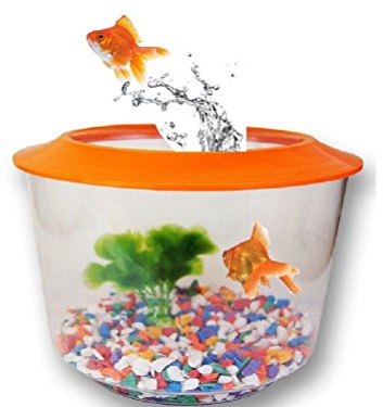 GOLDFISH STARTER SET KIT PACK TANK AQUARIUM BOWL LID GRAVEL PLANT GOLD FISH HOME