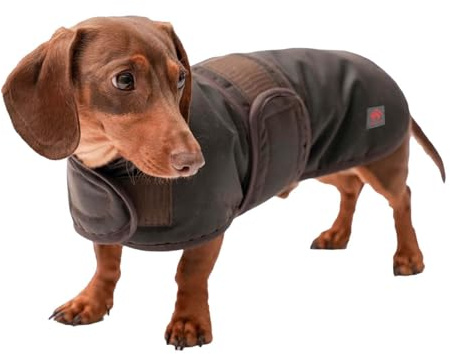 Firefoot - Hundemantel, Dackel, Gewachst (36 cm) (Braun)
