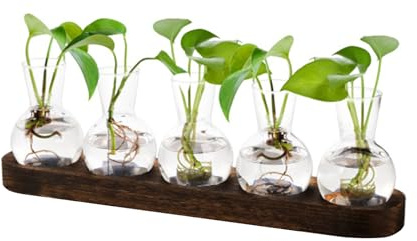 Hydroponik Glasvase mit Holz Halter,Avocado Vase Propagation Station Pflanzen Hydroponic Vase Vintage Deko,Pflanzen Im Glas für Wohnzimmer Büro Garten Zuhause Deko,Geschenke für Pflanzenliebhaber