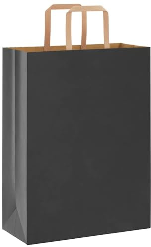 vidaXL Papiertragetaschen 250 Stk., Papiertüten mit Henkeln, Papiertüten, Geschenktüten für Einkaufen Hochzeiten Verpackungen Partys Geburtstag Weihnachten, Schwarz 26x12x35cm