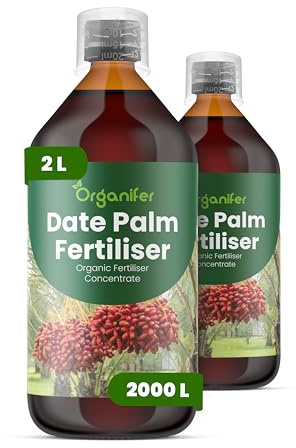 Engrais liquide organique 2x1L pour palmier dattier – plantes saines et floraison stable – Organifer