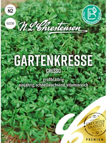 Chrestensen Gartenkresse Cresso Samen Großblättrig | Kräutersamen, Schnellwachsend 14 Tage Ernte, Ganzjährig Indoor Fensterbank, Vitaminreich, Lepidium sativum