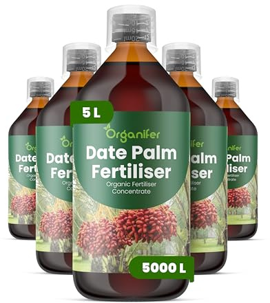 Engrais liquide organique 5x1L pour palmier dattier – cycles floraux abondants – Organifer