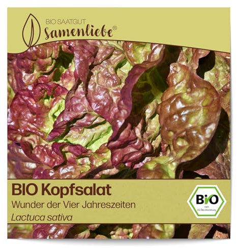 Samenliebe BIO Kopfsalat Samen alte Sorte Wunder der Vier Jahreszeiten aromatischer Blattsalat Salat rot grün 500 Samen samenfestes Gemüse Saatgut für Gewächshaus Freiland und Balkon BIO Gemüsesamen