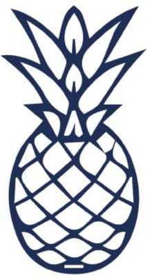 Tattwo.me – Temporäre Tattoos für Erwachsene und Kinder, hält 2 Wochen, wasserfest – Ananas – Pflanzliche Tinte – EU-Kosmetik-Zertifikat – (P0374)