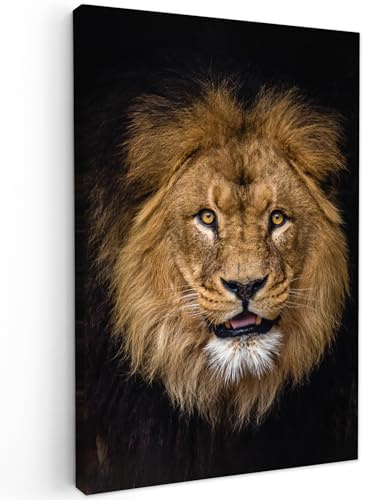 MuchoWow© Leinwand Deko Schlafzimmer Aesthetic Leinwandbilder Wohnzimmer | 60x90 cm - Gemälde Foto Geschenk Living Room Decoration Bilder Löwe - Porträt - Schwarz - Tiere