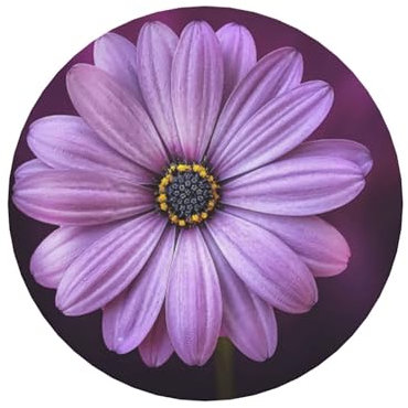 Lila Chrysantheme weicher magnetischer Kühlschrankmagnet - Entzückende Küchendekoration mit einzigartigen Designs, Kühlschrankdekoration, magnetische Dekoration, Haushaltsgegenstand