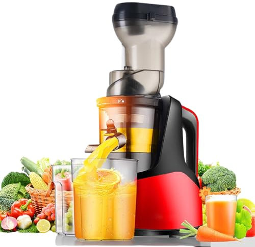 Slow Masticating Juicer Machine, 150W, 1000ml Cold Press, Automatic with Reverse Function for Whole Fruits, Easy to Clean, Ideal for Smoothies and Ice Cream