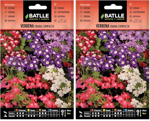 Semillas Batlle Verbena ENANA compacta (Paquete de 2)