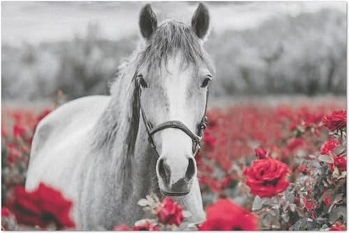 Equine & Roses Large Decoupage Paper, 21 x 29 (for Furniture, large projects) by the Shabby Hummingbird