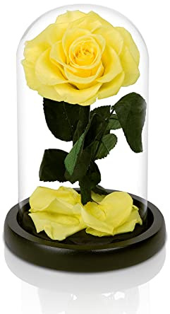 NATROSES Handgefertigte konservierte Rosen in Glaskuppel, langlebige gelbe Rosen echte, ewige Glasrose für Valentinstag, Weihnachten, Muttertag, Geburtstag, Jahrestag, Hochzeit, Erntedankfest