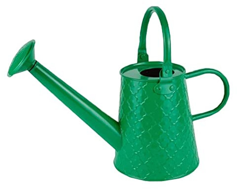 Regadera de Jardinería Regaderas Regadera De Metal Regadera De Estilo Moderno con Asa Y Cabeza De Rosa Las Flores Regaderas De Jardín para regar Las Plantas (Color : Groen, Size : 52 * 18.5 * 36.5cm)