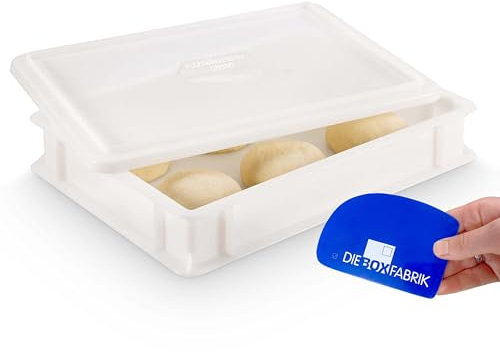 DIE BOX FABRIK 1 Pizzaballenbox Gusto + 1 Deckel, 40x30x7 cm | Gärbox, Teigwanne für Pizzateig. Teigbox für 6 Pizzaballen, Pizzateigbehälter (1 Gusto Box + 1 Deckel)