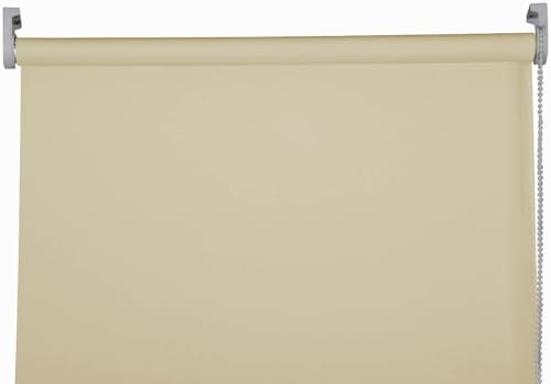 Apex Furnishings Cappuccino Blackout roller blinds for windows, Thermal Insulated UV Protection Child Safety Trimmable Easy Fit Home office Window Blinds W 60cm x L 165cm