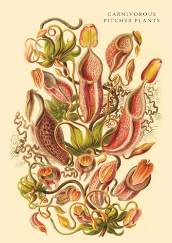 Carnivorous Pitcher Plants: Nepenthaceae-Kannenpflanzen