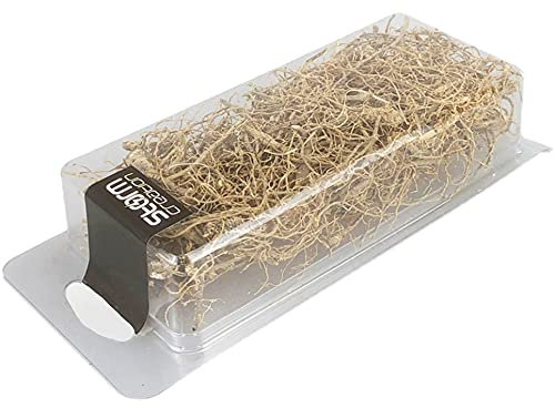 Tiardey Viti secche,Rami secchi,Viti,Radici secche per Modelli di Piante Artificiali,tavoli di Sabbia,Scene di Treni in Miniatura,Scene di Guerra in Miniatura