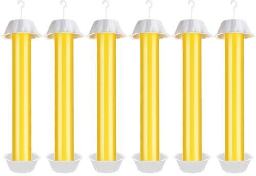 Panngu Lot de 6 Grands pièges à Mouches pour l'intérieur et l'extérieur - avec Bandes adhésives - Défense Contre Les moustiques et Les Fruits - À Poser et à Suspendre